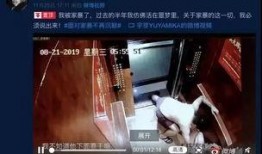 谁爆料家暴视频最新版下载,揭秘暴力真相，关注受害者心声