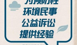 澎湃新闻爆料的教育,揭秘背后真相与挑战